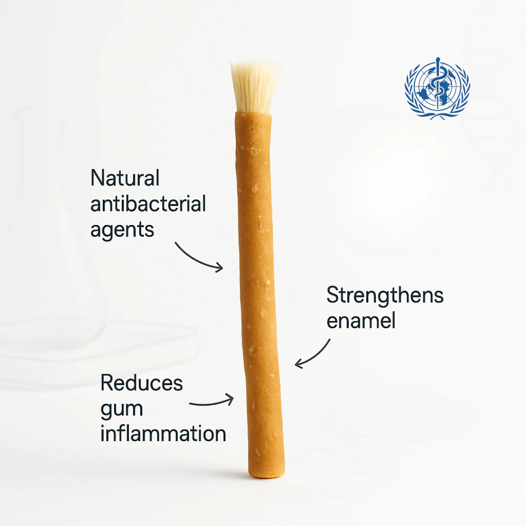 Miswak Stick