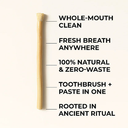 Miswak Stick